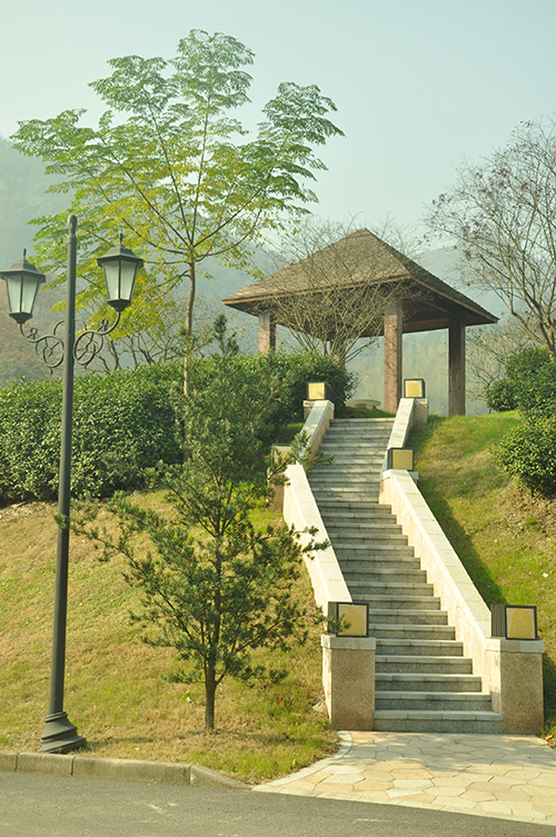 DSC_0114.jpg DSC_0114.jpg